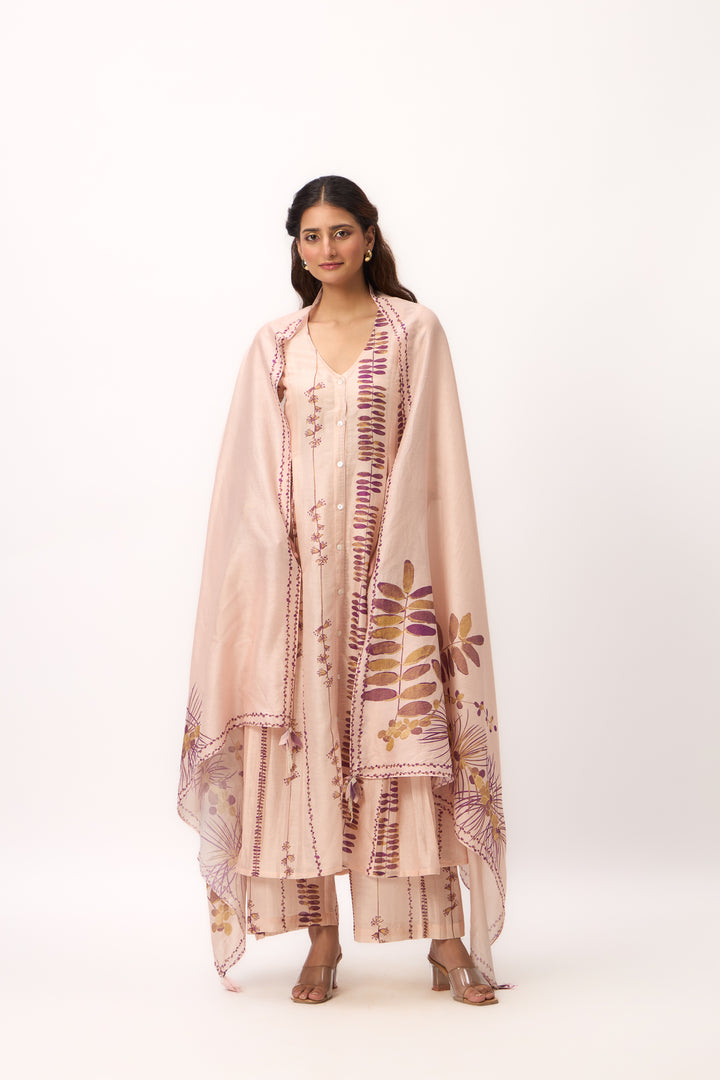 Watercolour Shami Stripe Print Panelled Kurta Set With Dupatta Baby Pink